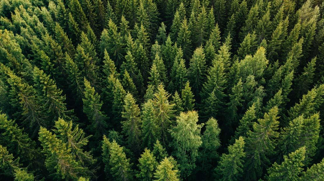 COIM presenta il bilancio di sostenibilità ambientale